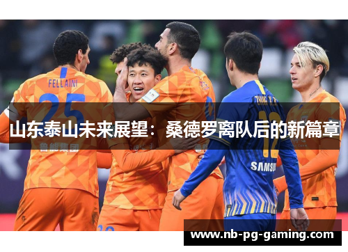 山东泰山未来展望：桑德罗离队后的新篇章