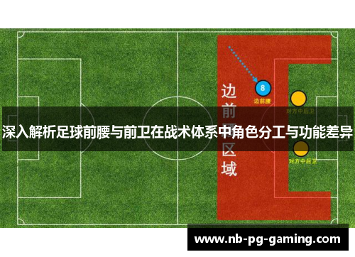 深入解析足球前腰与前卫在战术体系中角色分工与功能差异