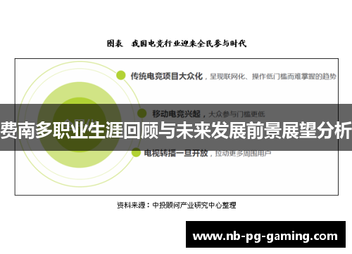 费南多职业生涯回顾与未来发展前景展望分析 费南多职业生涯回顾与未来发展前景展望分析
