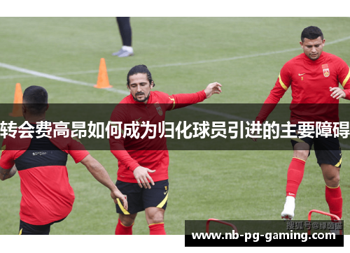 转会费高昂如何成为归化球员引进的主要障碍 转会费高昂如何成为归化球员引进的主要障碍